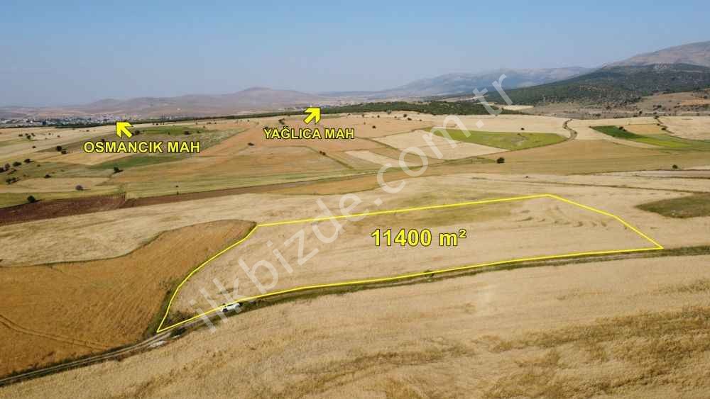 KADINHANI OSMANCIK MAHALLESİNDE 11400 m² MÜSTAKİL TARLA