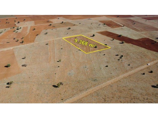 AKÖREN AĞALAR DA 9.368 M2 MÜSTAKİL TAPULU TARLA