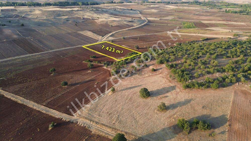 AKÖREN TÜLCE DE 7.423 M2 MÜSTAKİL TAPULU TARLA