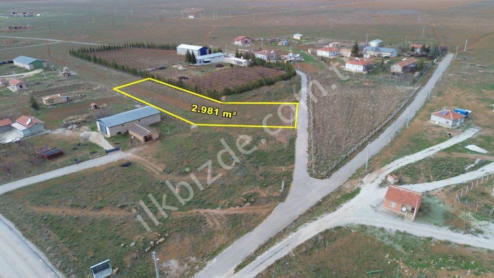 ALTINEKİN BORUKKUYU DA 2.981M2 MÜSTAKİL TAPULU KONUT İMARLI ARSA
