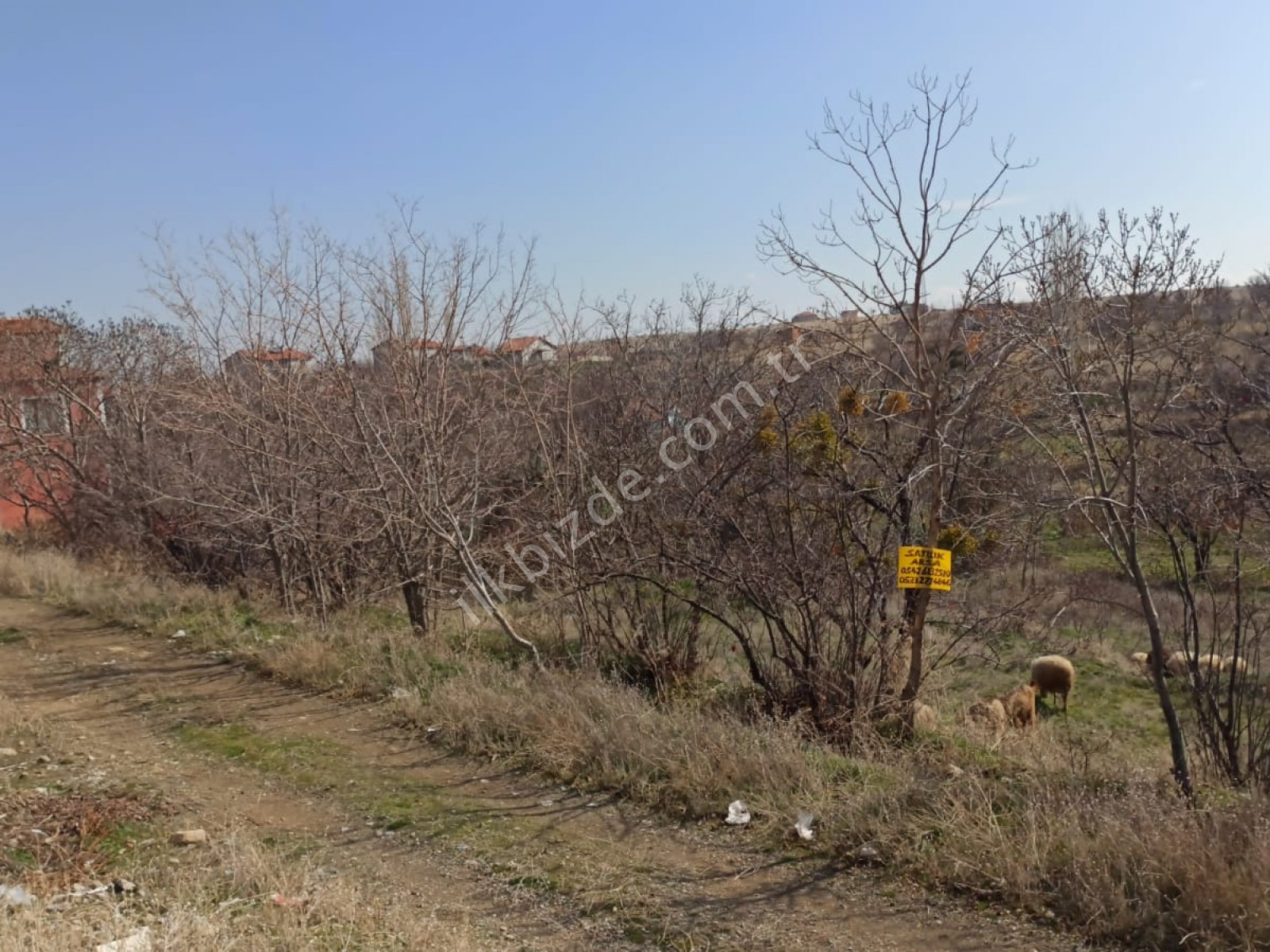 ÇAYIRBAĞI'DA KÖY İÇİ OZAN'DAN SATILIK BAHÇE TAPULU ARSA