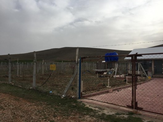 BAYAT'DA OZAN DAN SATILIK TELİ- YOLU HAZIR HOBİ BAHÇESİ