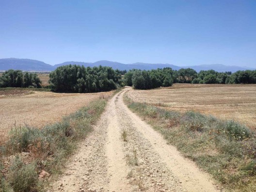 KREDİ KARTI GEÇER RESMİ YOL ÜZERİNDE TARLA