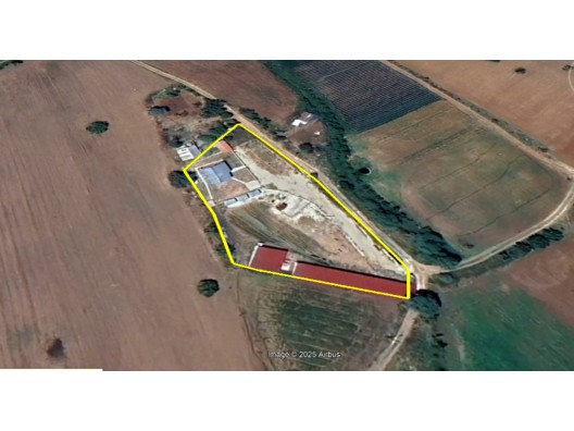 DERBENT CAMİİKEBİR MH. 2.668 m2 MÜSTAKİL TAPULU SATILIK ÇİFTLİK.